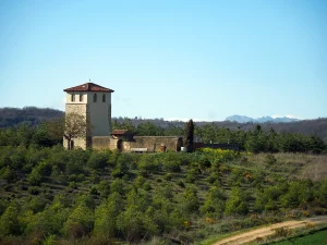 Torre de Villalboñe de piedra sobre una loma en la Ruta A de La Sobarriba (León)