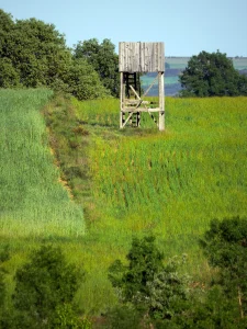 Puesto de caza entre la vegetación en la Ruta B de La Sobarriba (León)