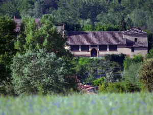 Casa de piedra entre arbolado en Santovenia del Monte en La Sobarriba (León)