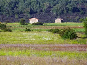 Campos con una caseta y montañas al fondo en la Ruta C de La Sobarriba (León)