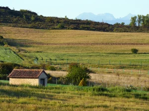 Caseta de aperos entre campos en la Ruta A de La Sobarriba (León)
