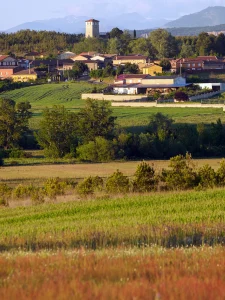 Pueblo con torre entre campos de cereal en la Ruta A de La Sobarriba (León)