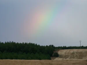 Arcoíris sobre el pinar y los campos en la Ruta C de La Sobarriba (León)