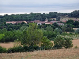 Pueblo entre arbolado y campos en la Ruta C de La Sobarriba (León)