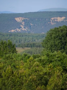 Valle con cortados rocosos y arbolado en la comarca de la Sobarriba (León)