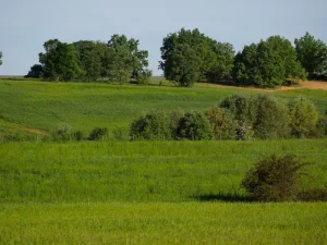 Campos de cultivo y masas de arbolado en la comarca de la Sobarriba (León)